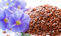 Семена льна в питании в лечебных и профилактических целях